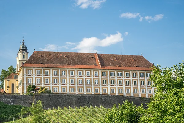 Blick auf das Schloss Stainz, darunter liegt ein Weingarten.